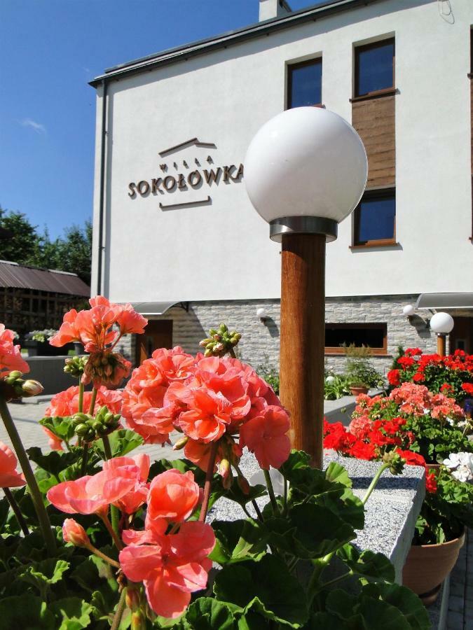 Willa Sokolowka Polanica-Zdrój Kültér fotó